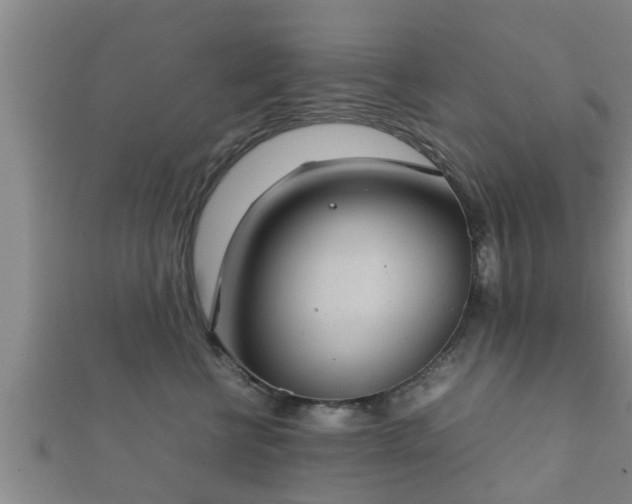 X0000112400570200908211118