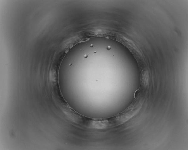 X0000112400571200908211118