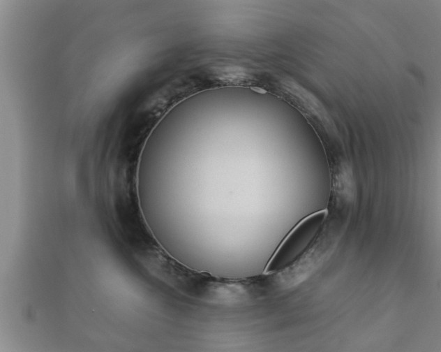 X0000112400572200908211118