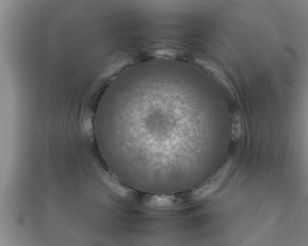 X0000112400573200908211118