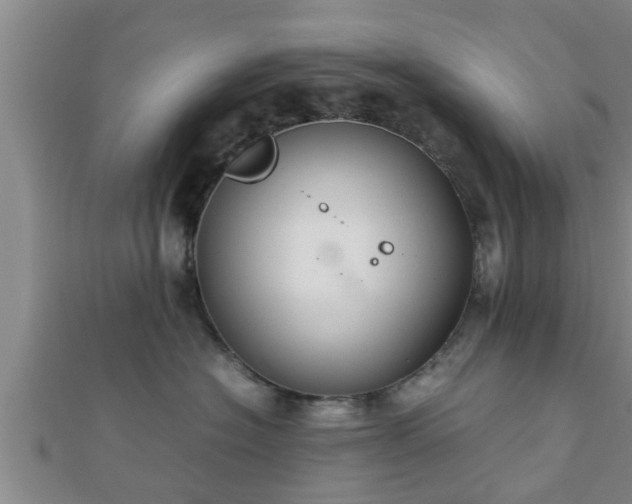 X0000112400574200908211118