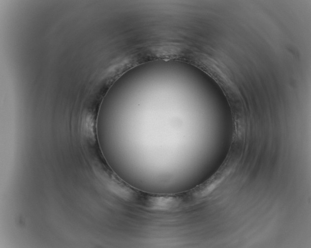 X0000112400575200908211118