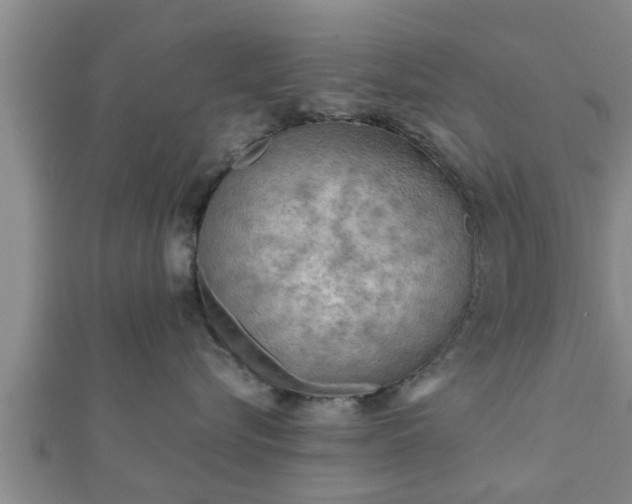 X0000112400576200908211118