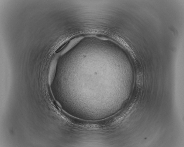 X0000112400577200908211117