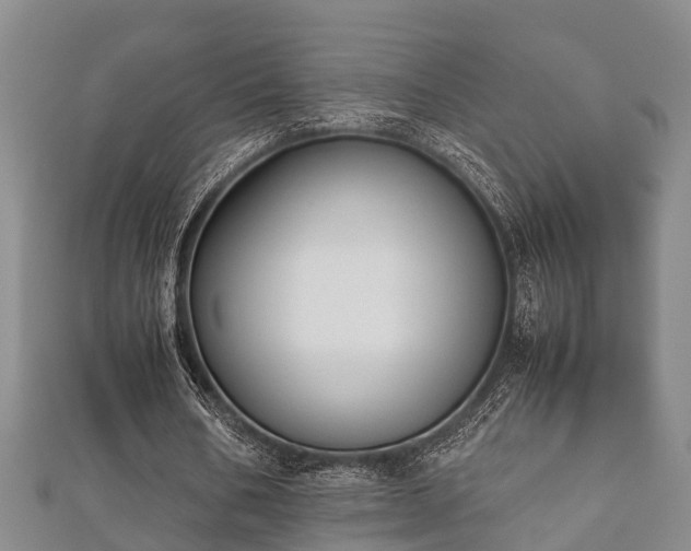 X0000112400578200908211117