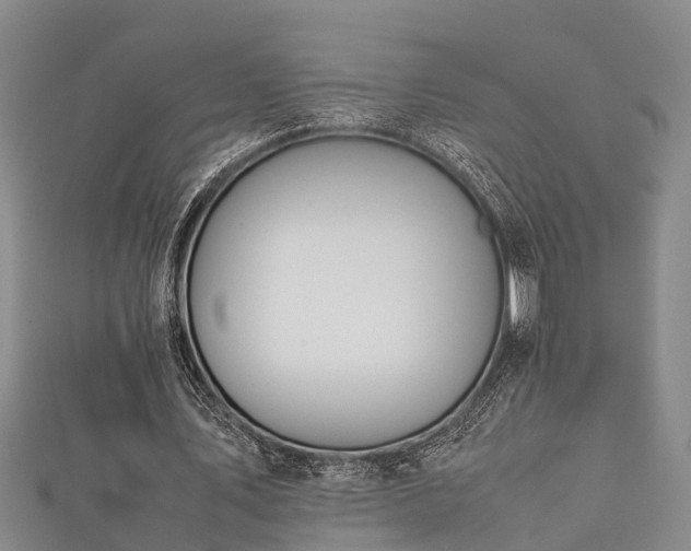 X0000112400579200908211117