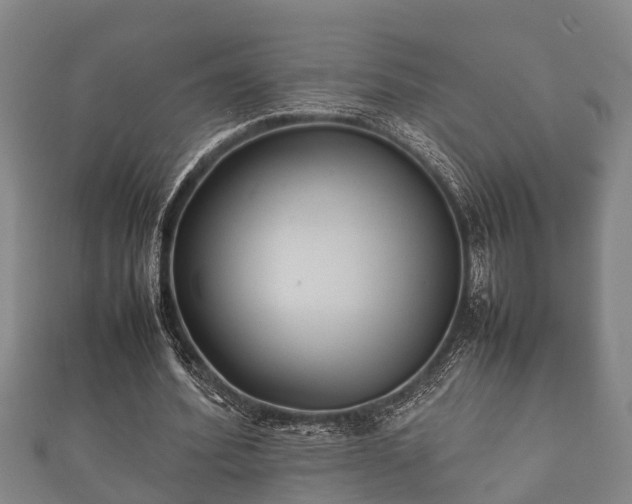 X0000112400580200908211117