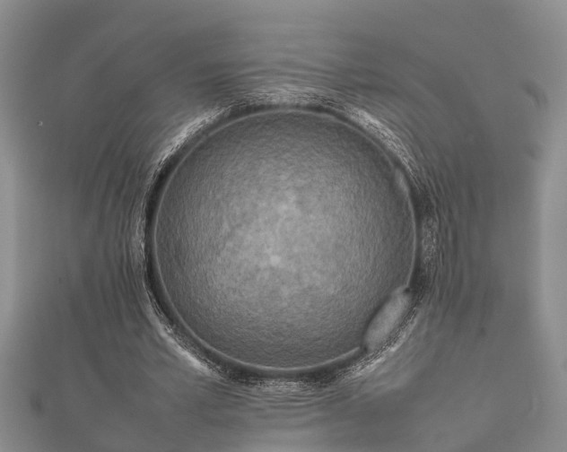 X0000112400581200908211117