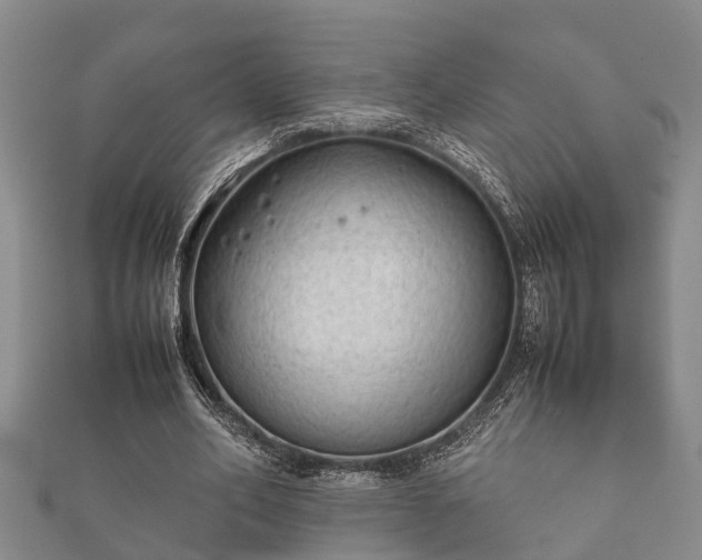 X0000112400582200908211117