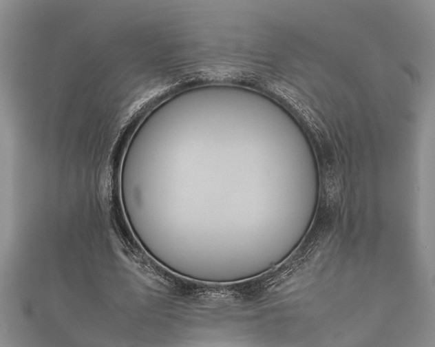 X0000112400583200908211117