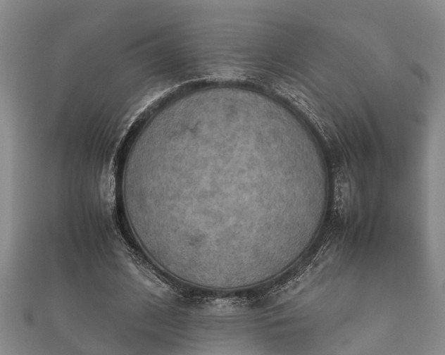 X0000112400584200908211117