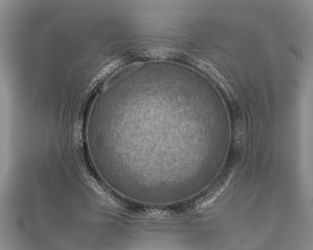 X0000112400585200908211117