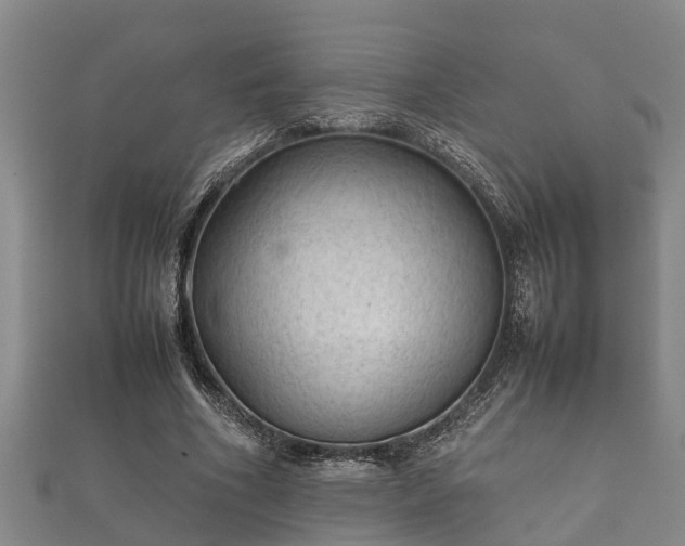 X0000112400586200908211117