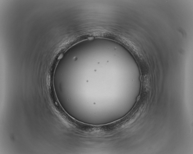 X0000112400589200908211117