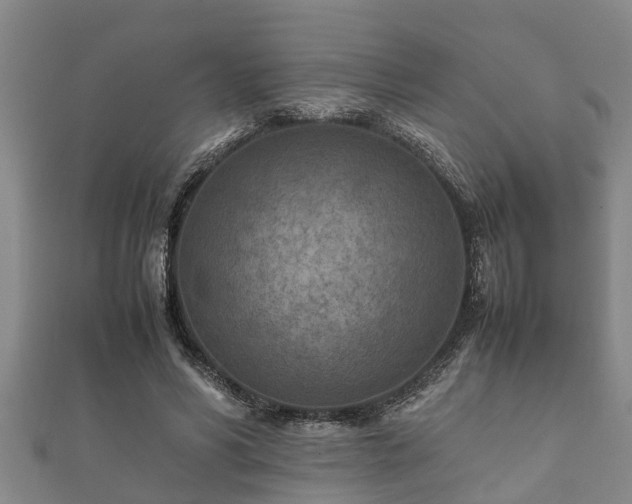 X0000112400590200908211117