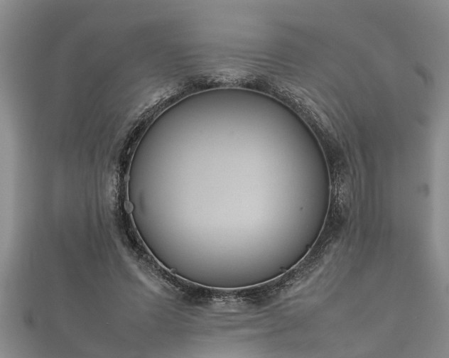 X0000112400591200908211117