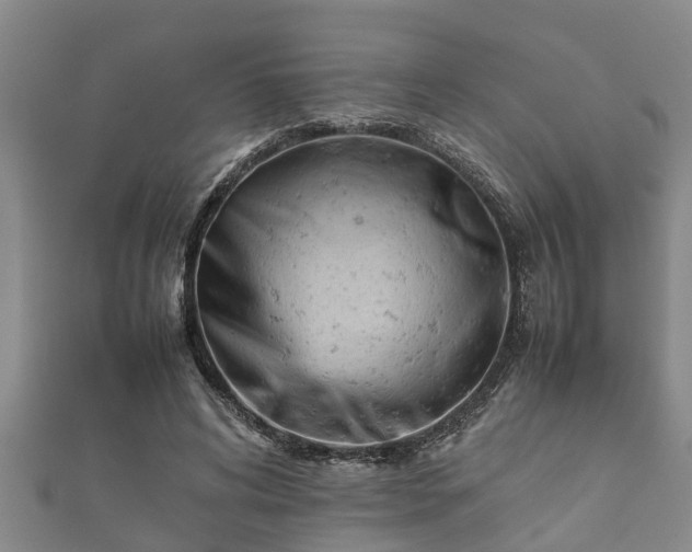 X0000112400592200908211117