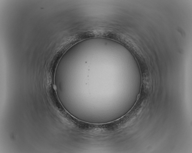 X0000112400593200908211117