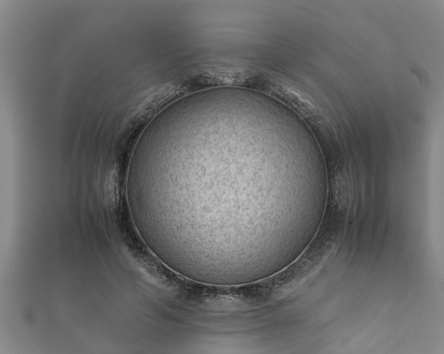 X0000112400594200908211117
