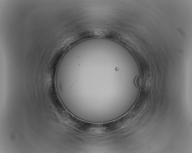 X0000112400595200908211117