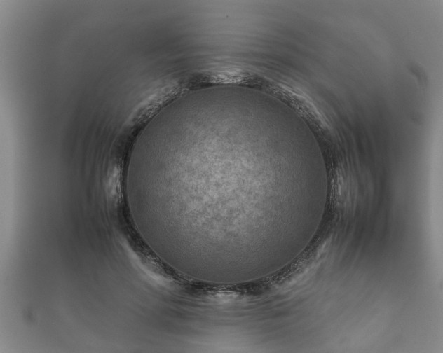 X0000112400598200908211117