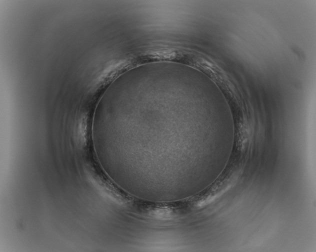 X0000112400600200908211117
