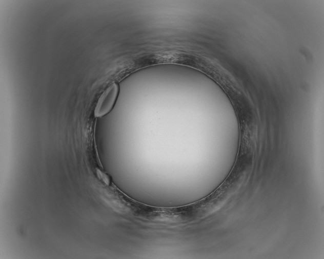 X0000112400601200908211117