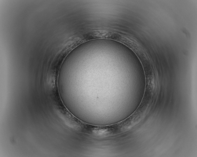X0000112400602200908211117
