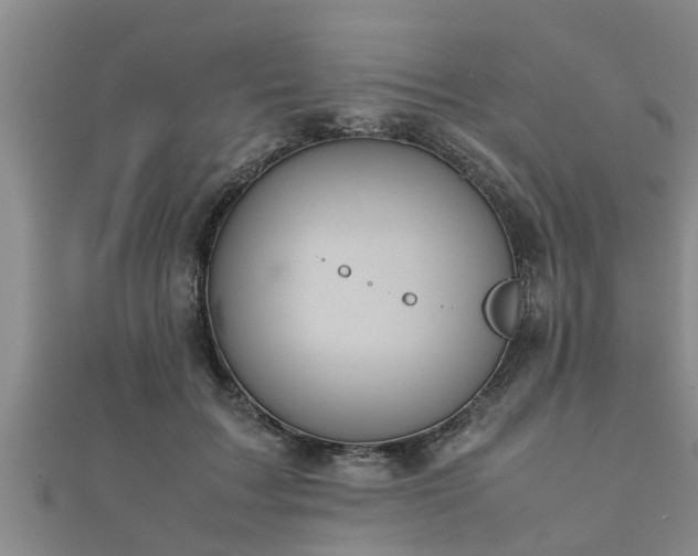 X0000112400603200908211117