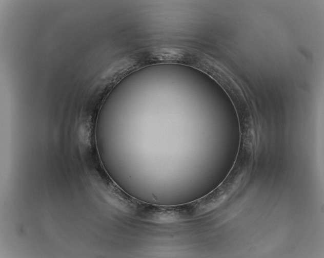 X0000112400604200908211117