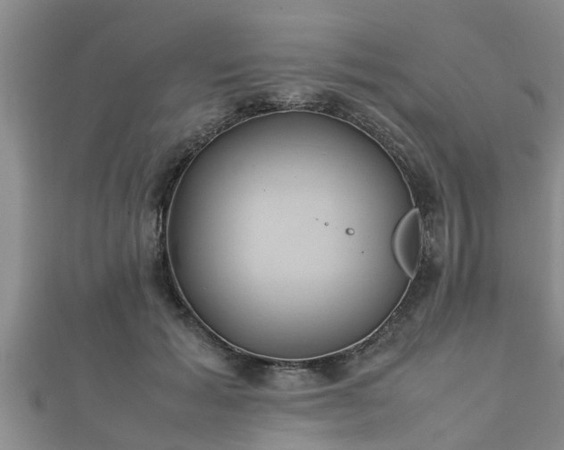 X0000112400605200908211117