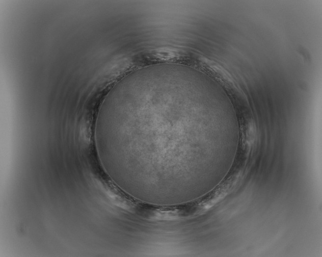 X0000112400606200908211117