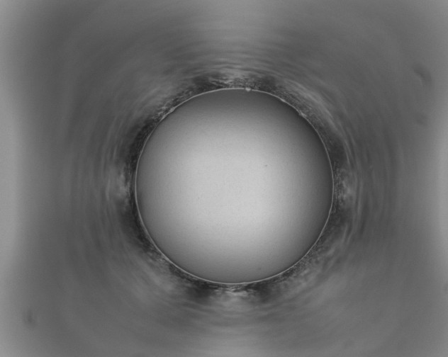 X0000112400607200908211117