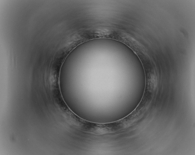 X0000112400608200908211117