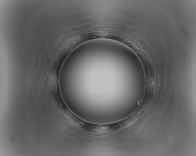 X0000112400609200908211117