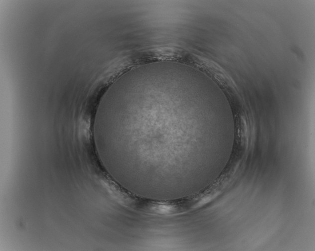 X0000112400610200908211117