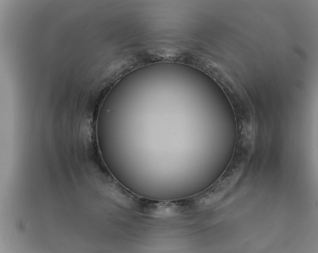 X0000112400612200908211117