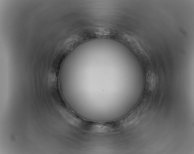 X0000112400614200908211117