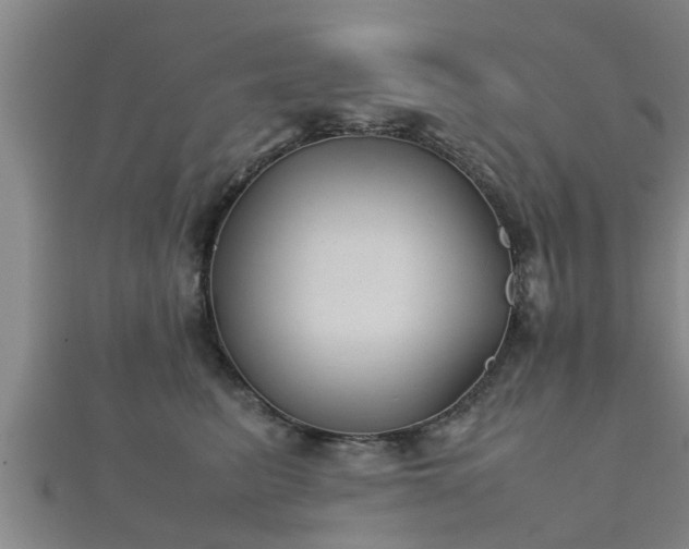 X0000112400615200908211117