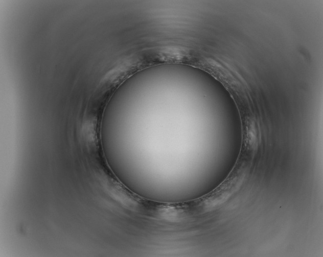 X0000112400616200908211117