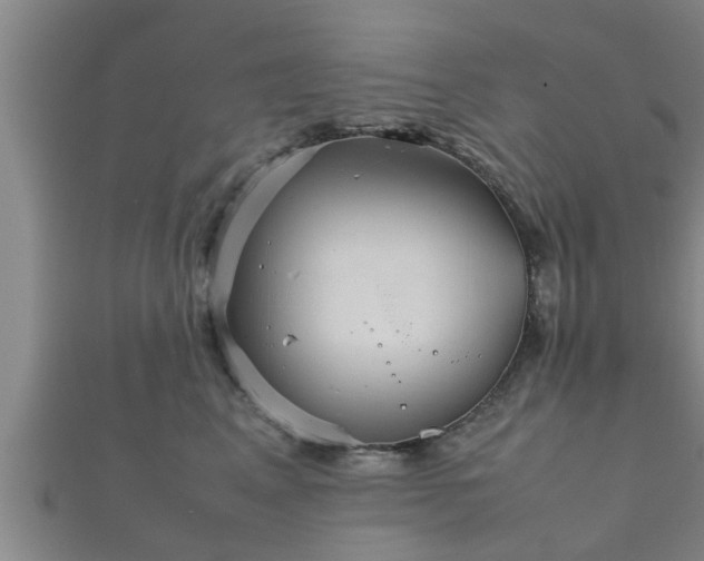X0000112400617200908211117