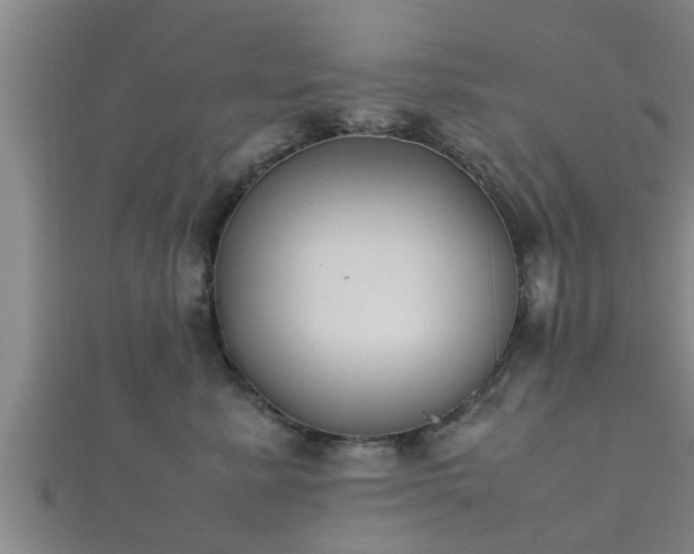 X0000112400619200908211117