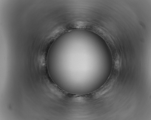X0000112400620200908211117