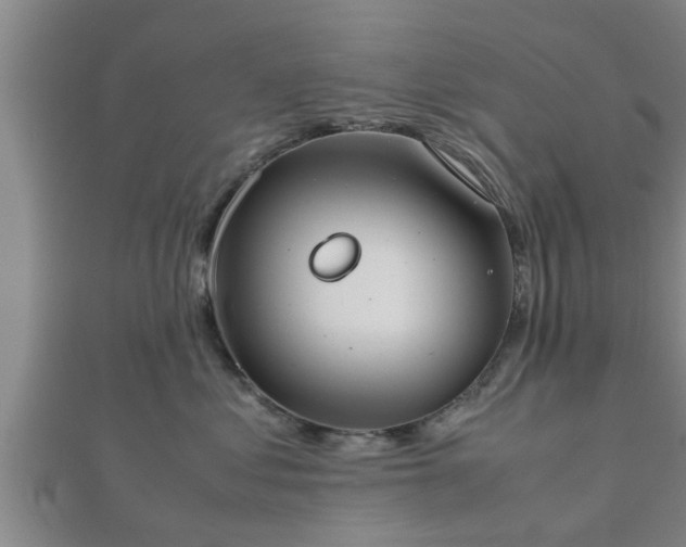 X0000112400621200908211117