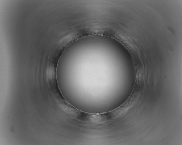 X0000112400623200908211117