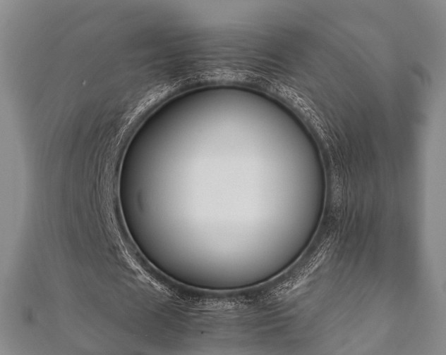 X0000112400625200908211116