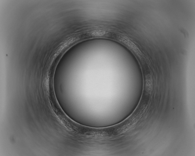 X0000112400626200908211116