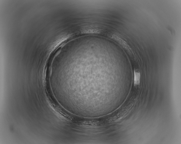 X0000112400627200908211116