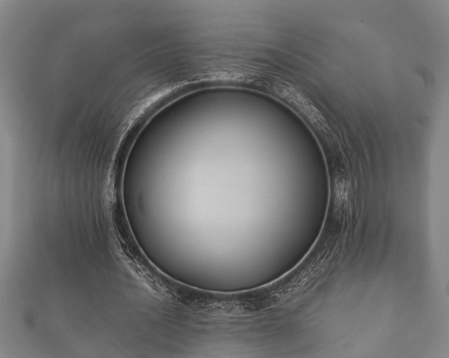 X0000112400628200908211116