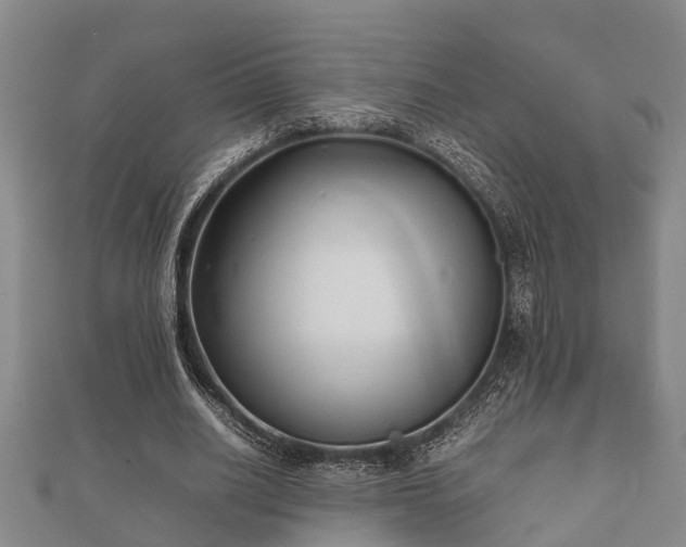 X0000112400630200908211116